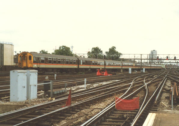 ''Jaffa Cake'' 4 Ceps at London Bridge