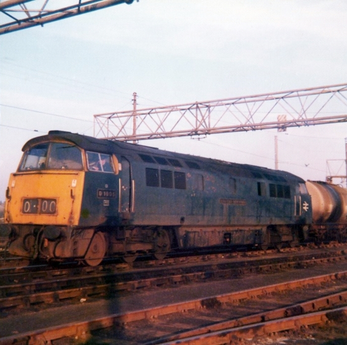 Hoo Junction 1976: No. D1005 Western Venturer
